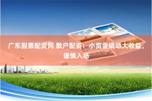 广东股票配资网 散户配资：小资金撬动大收益，谨慎入场